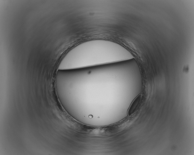 X0000090910366200707301038