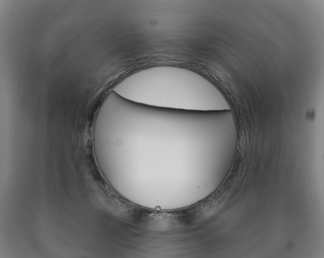 X0000090910367200707301038