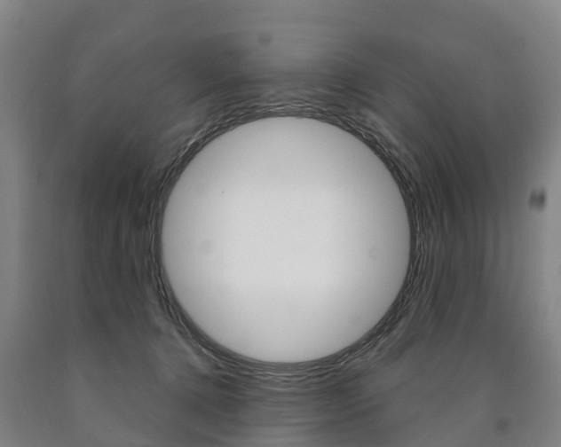 X0000090910368200707301038