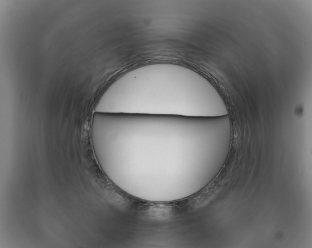 X0000090910369200707301038