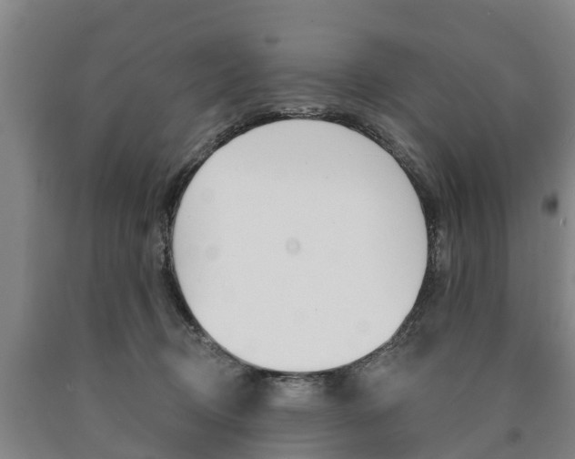 X0000090910370200707301038