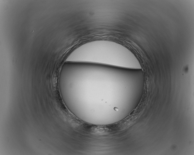 X0000090910372200707301038