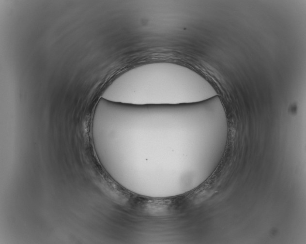 X0000090910373200707301038