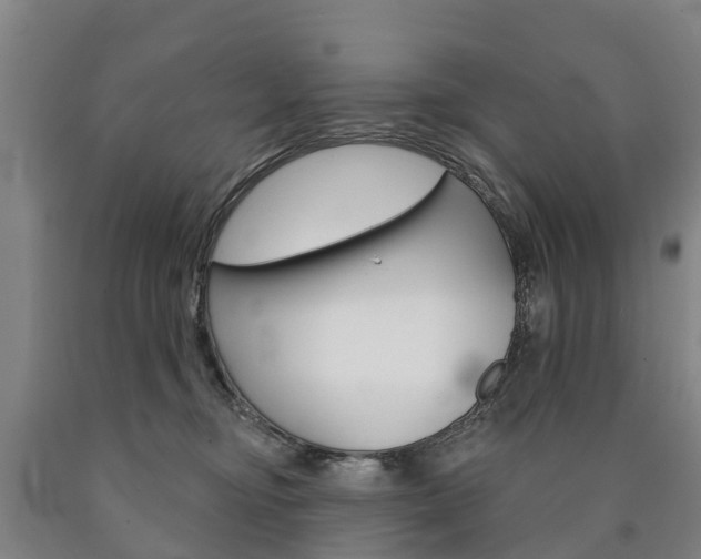 X0000090910374200707301038