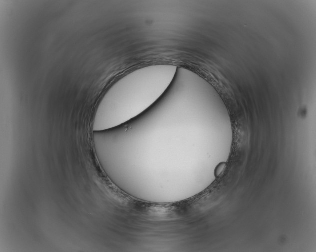 X0000090910375200707301038