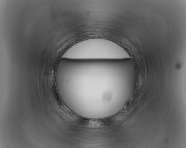 X0000090910376200707301038