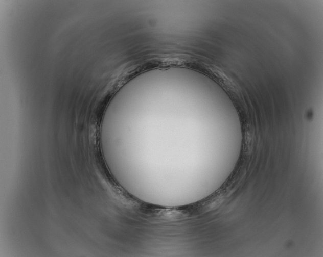 X0000090910379200707301038