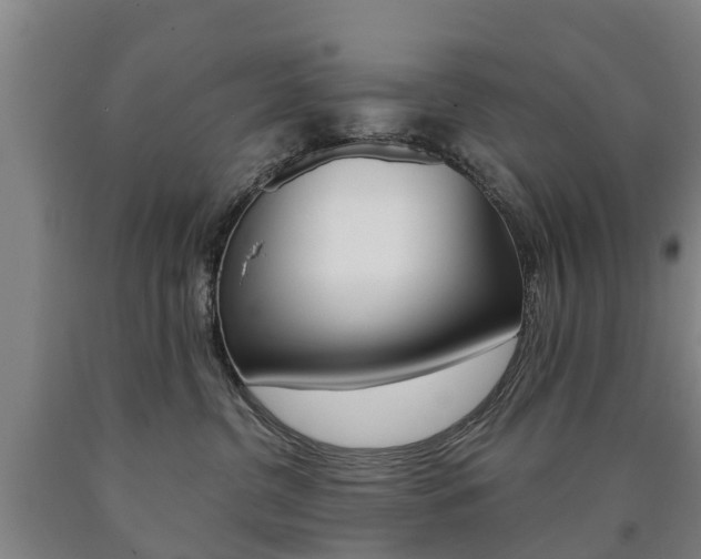 X0000090910380200707301038
