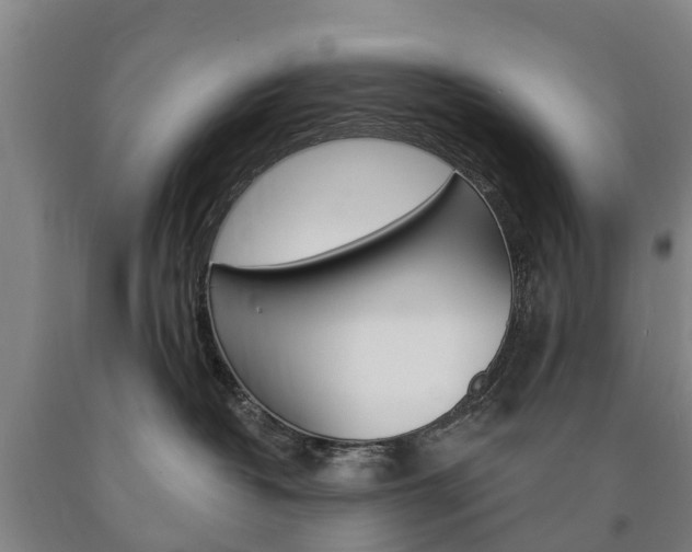 X0000090910382200707301038