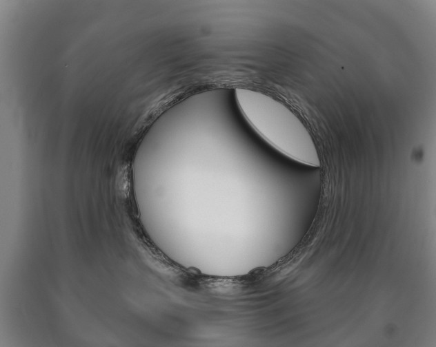 X0000090910383200707301038
