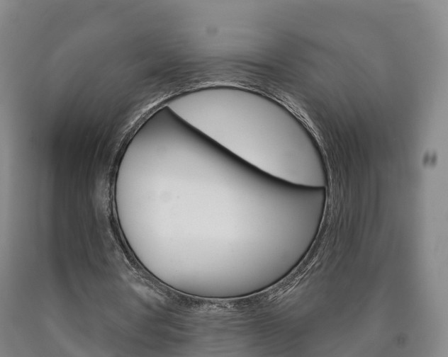 X0000090910386200707301037