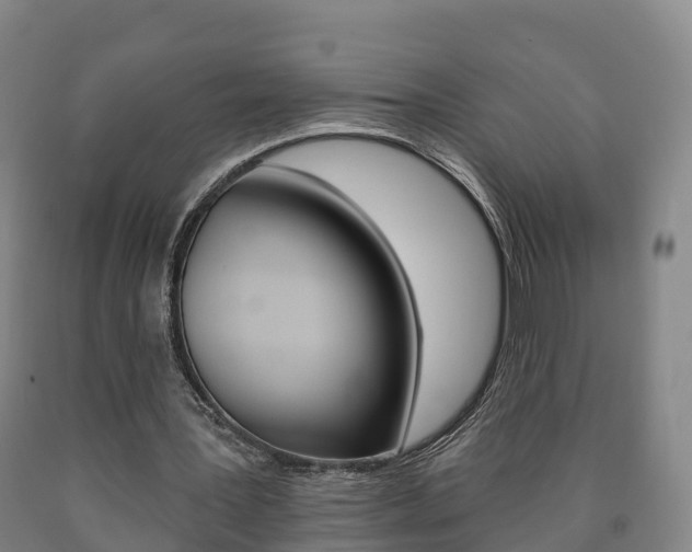 X0000090910387200707301037