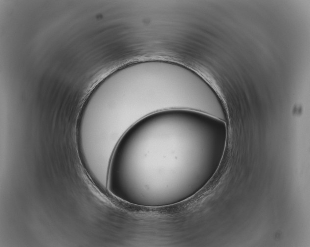 X0000090910389200707301037