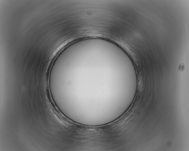 X0000090910390200707301037