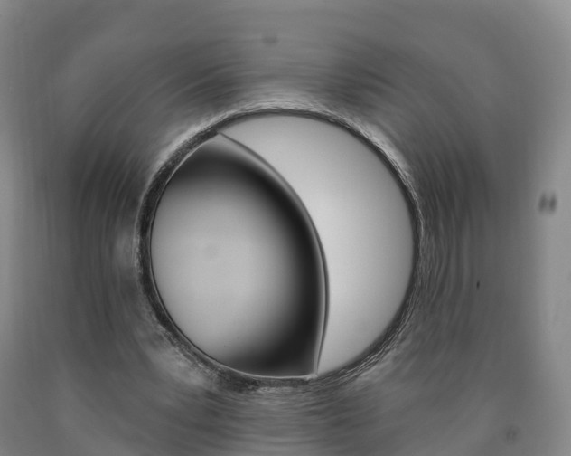 X0000090910391200707301037