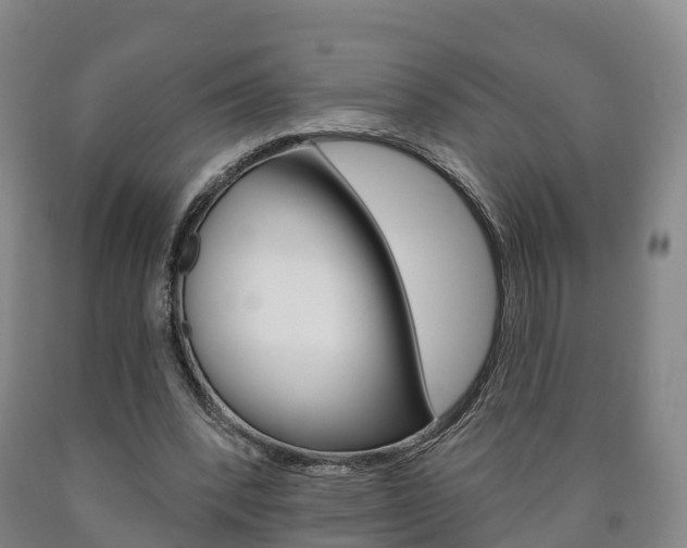 X0000090910392200707301037