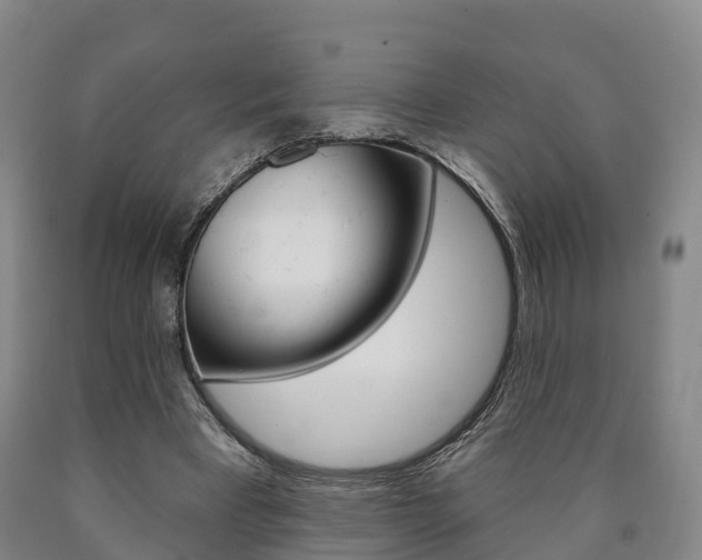 X0000090910393200707301037
