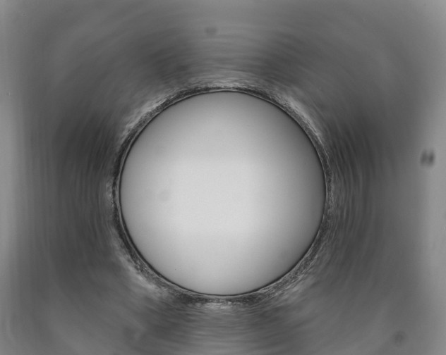 X0000090910394200707301037