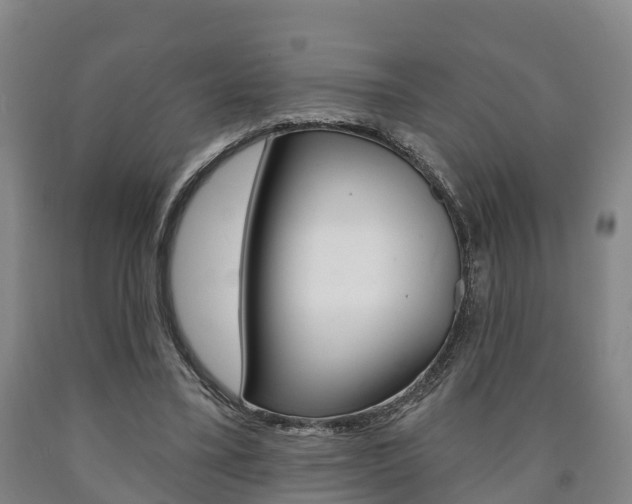 X0000090910395200707301037