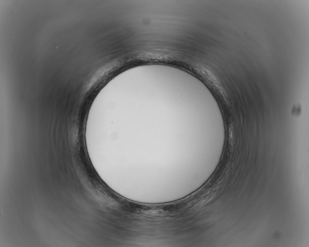 X0000090910396200707301037