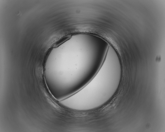 X0000090910397200707301037