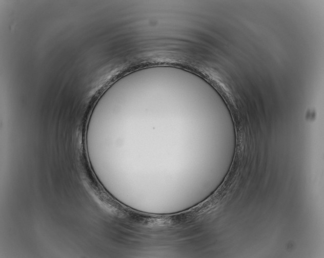 X0000090910398200707301037