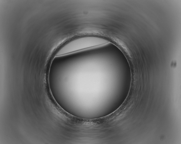 X0000090910399200707301037