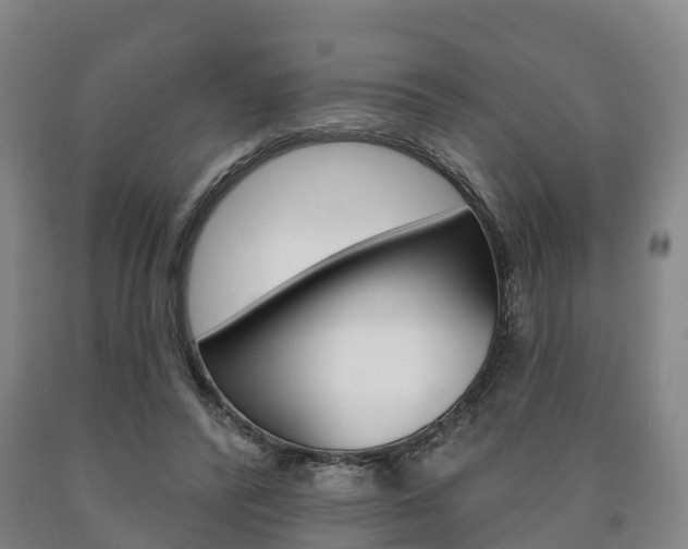 X0000090910400200707301037