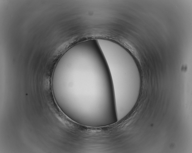 X0000090910401200707301037