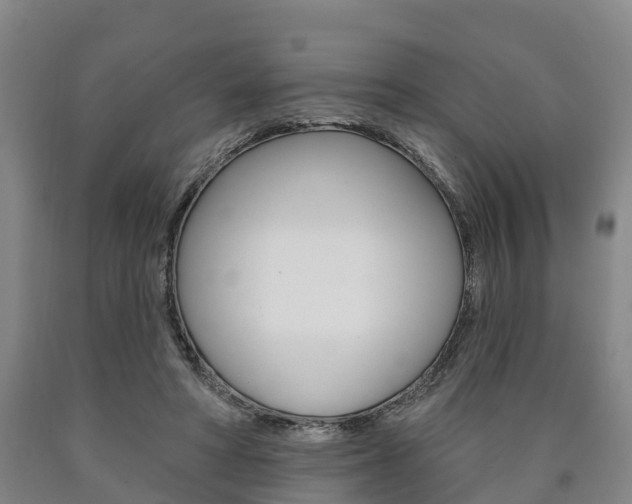 X0000090910402200707301037
