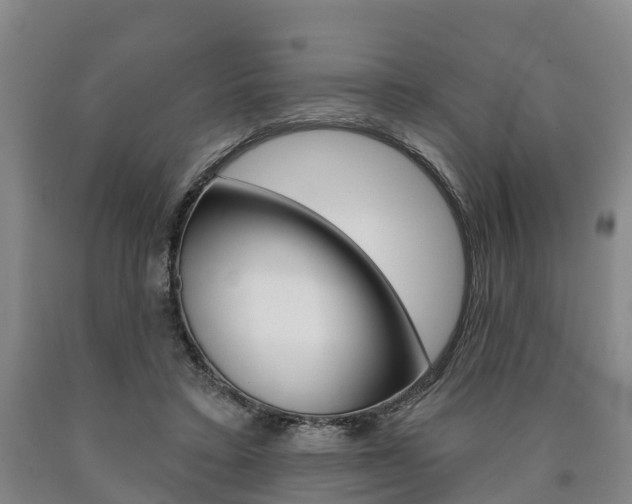 X0000090910403200707301037