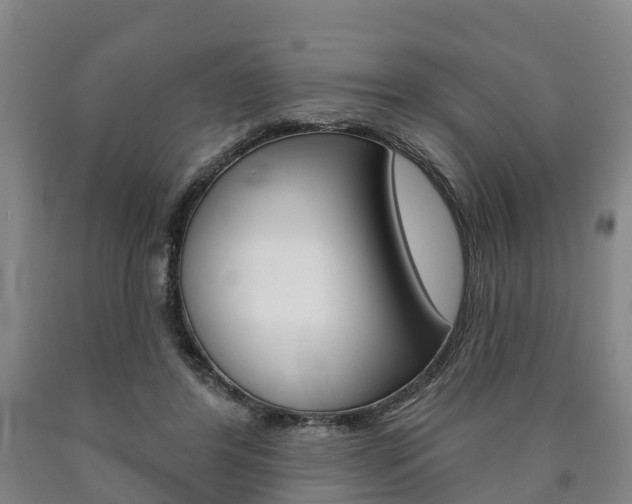 X0000090910404200707301037