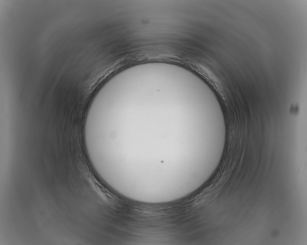 X0000090910405200707301037