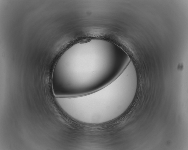 X0000090910407200707301037