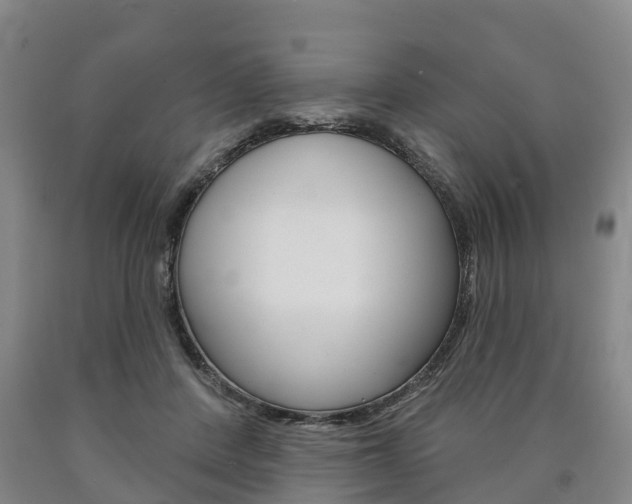 X0000090910408200707301037