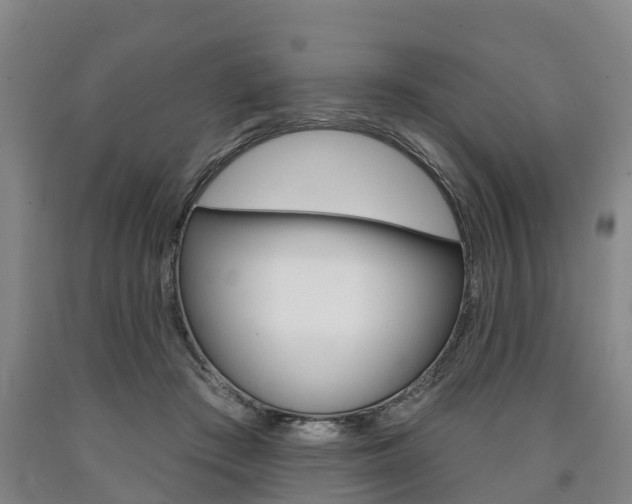 X0000090910409200707301037