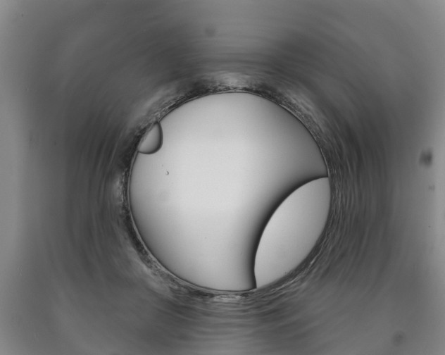 X0000090910410200707301037