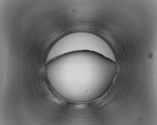 X0000090910411200707301037