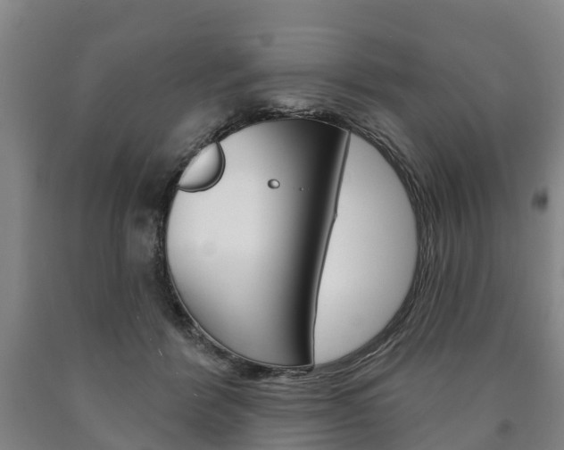 X0000090910412200707301037