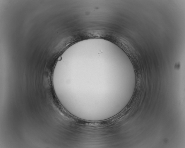 X0000090910414200707301037