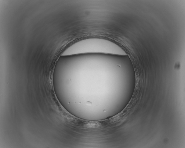 X0000090910415200707301037