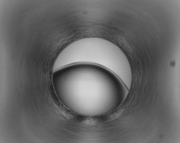 X0000090910416200707301037