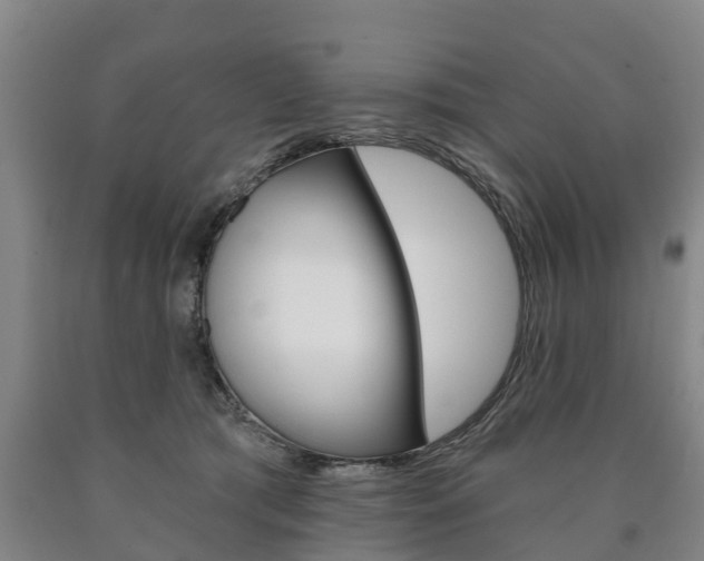 X0000090910417200707301037