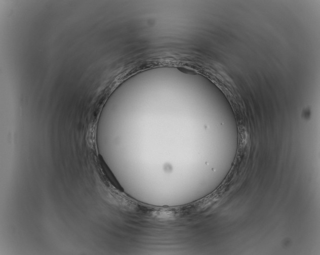 X0000090910419200707301037