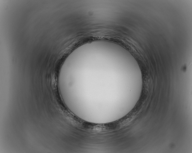 X0000090910420200707301037