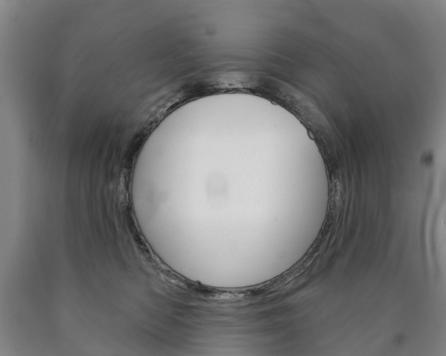 X0000090910422200707301037