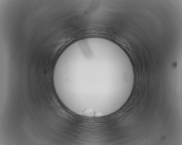 X0000090910423200707301037