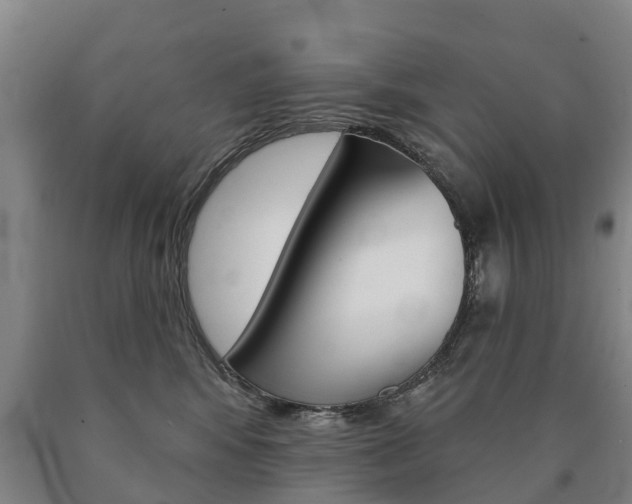 X0000090910424200707301037