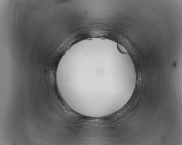 X0000090910426200707301037