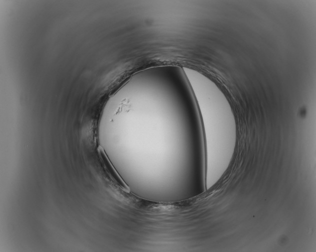 X0000090910428200707301037